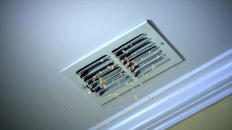 Best Commercial Air Duct Cleaning  in Bridgeville, DE